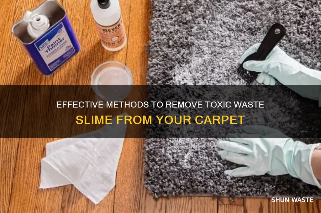 how to get toxic waste slime out of carpet