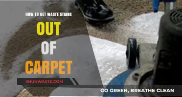 Effective Tips to Remove Stubborn Waste Stains from Your Carpet
