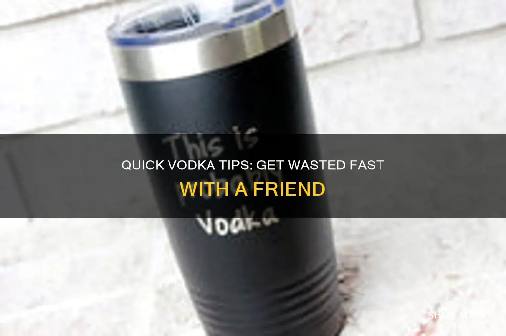 how to get wasted dfast with vodka and a friend