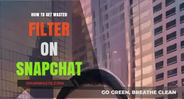 Master the Wasted Filter on Snapchat: Easy Steps to Apply