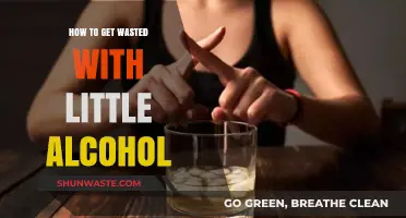 Maximize Your Buzz: Tips for Getting Wasted with Minimal Alcohol