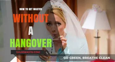 Party Smarter: Tips to Get Wasted Without a Hangover