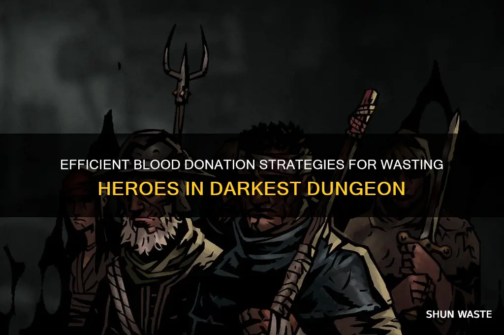 how to give wasting heros blood darkest dungeon