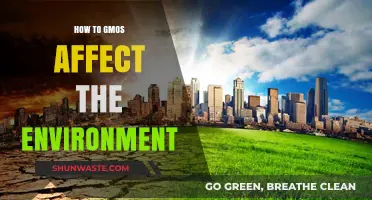 GMO Impact: Environmental Effects and Sustainable Agriculture Insights