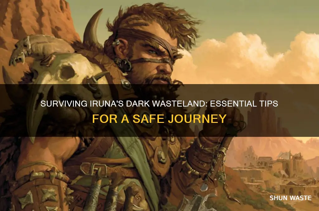 how to go dark waste land iruna