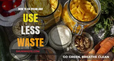 Sustainable Vegan Living: Tips for Reducing Waste and Embracing Plant-Based Choices