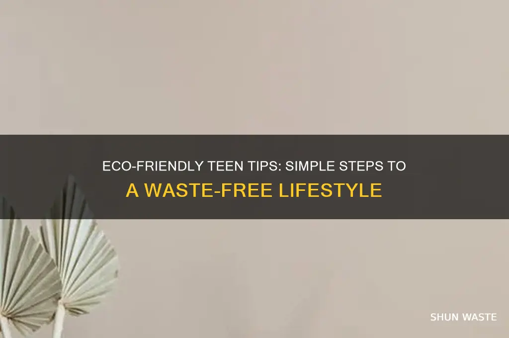 how to go waste free as a teen