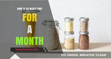 Sustainable Living: A Month-Long Guide to Zero Waste Success