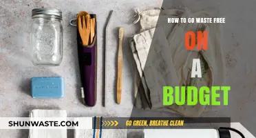 Budget-Friendly Tips for a Zero-Waste Lifestyle: Save Money, Reduce Waste