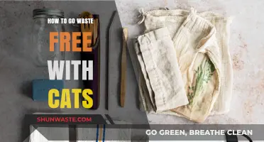 Eco-Friendly Feline Living: Tips for a Zero-Waste Cat Lifestyle