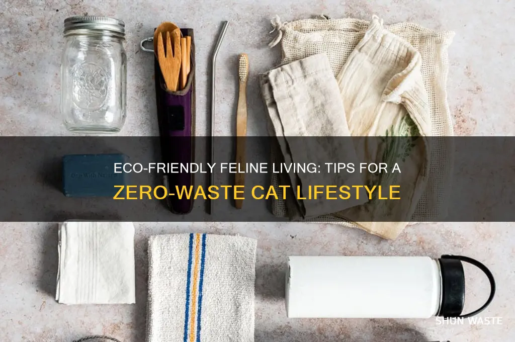 how to go waste free with cats