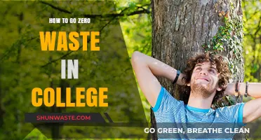Sustainable College Living: A Zero-Waste Guide for Students