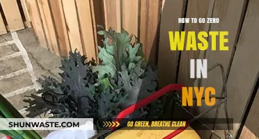 Sustainable Living Guide: Mastering Zero Waste in NYC's Urban Jungle