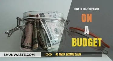 Affordable Zero Waste Living: Budget-Friendly Tips for Sustainable Choices