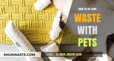 Sustainable Pet Care: Tips for a Zero-Waste Lifestyle with Pets