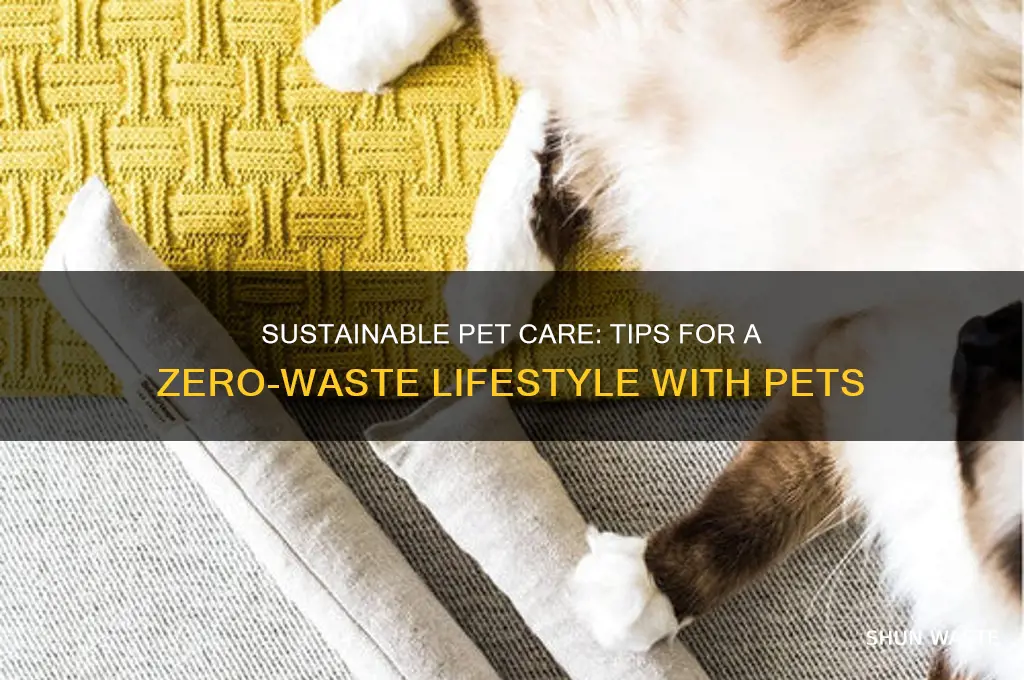 how to go zero waste with pets