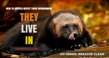 How Griffes Shape and Impact Their Natural Habitat and Ecosystem