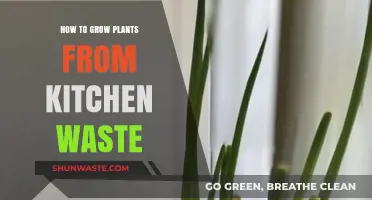 Transform Kitchen Scraps into Thriving Plants: A Green Recycling Guide