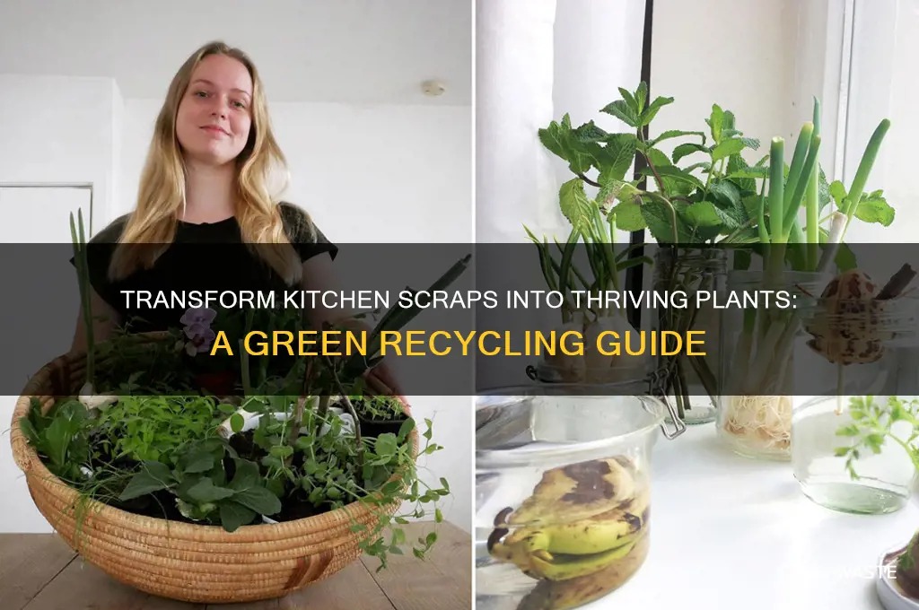 how to grow plants from kitchen waste