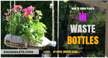 Eco-Friendly Gardening: Growing Plants in Recycled Waste Bottles