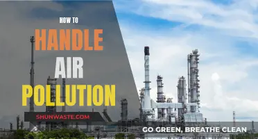 Battling Air Pollution: Strategies for a Greener Tomorrow