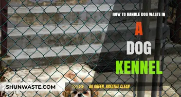 Effective Dog Kennel Waste Management: Tips for Clean and Healthy Kennels