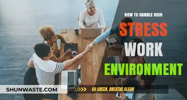 Mastering Stress: Strategies for Thriving in High-Pressure Workplaces