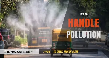 Tackling Pollution: Strategies for a Sustainable Future