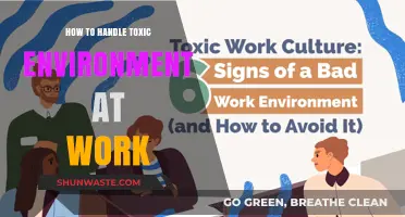 Surviving and Thriving: Strategies to Navigate a Toxic Work Environment