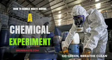Safe Waste Management Tips for Chemical Experiments in Labs