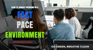 Mastering the Fast Pace: Strategies for Thriving in High-Speed Workplaces