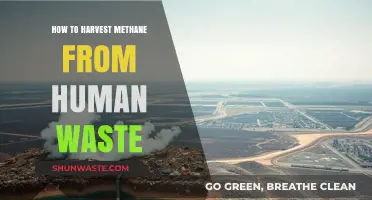 Harvesting Methane from Human Waste: A Sustainable Energy Solution