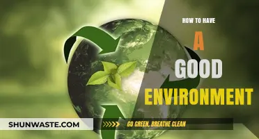 Creating a Healthy, Sustainable Environment: Tips for a Greener Lifestyle