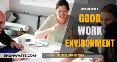 Creating a Positive Work Environment: Tips for Productivity and Collaboration