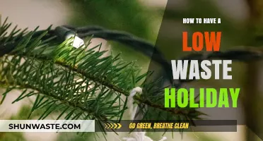 Sustainable Celebrations: Tips for a Low-Waste Holiday Season