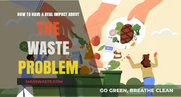 Tackling Waste Crisis: Practical Steps for Real, Lasting Environmental Impact