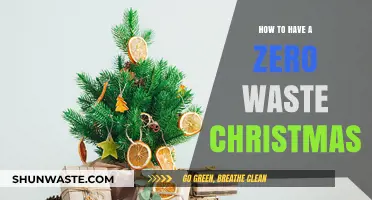 Sustainable Holiday Guide: Zero Waste Christmas Tips for Eco-Friendly Celebrations