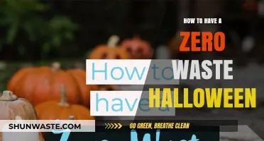Eco-Friendly Halloween: Tips for a Zero Waste Spooky Celebration