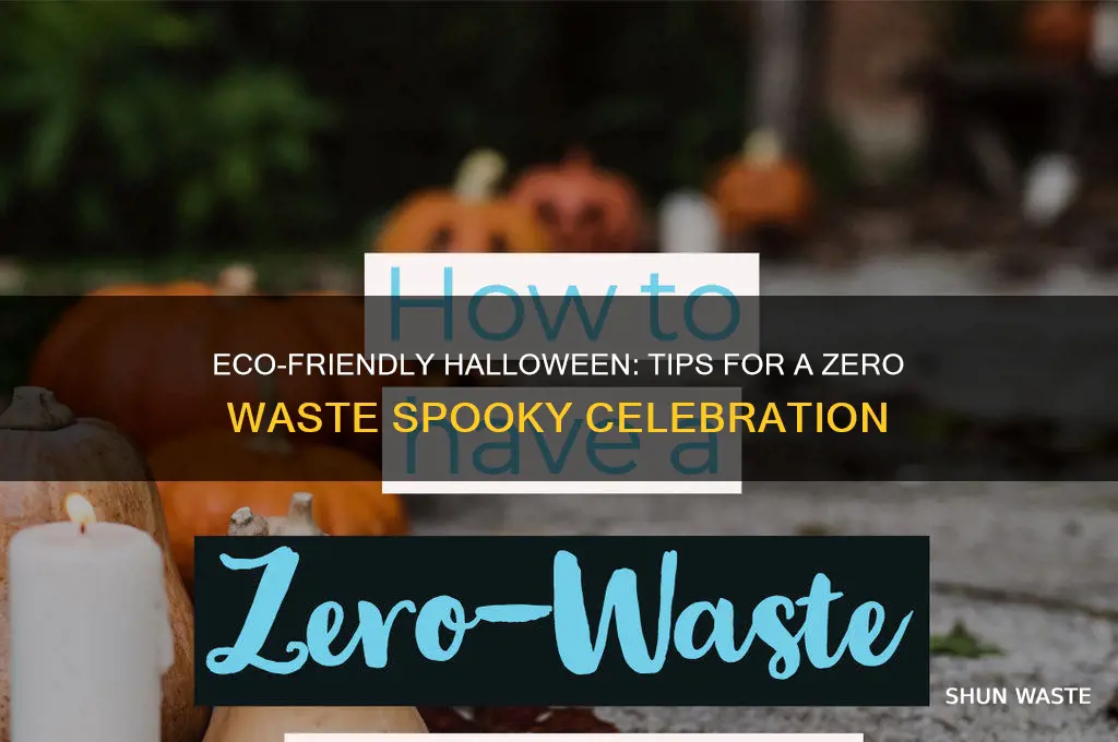how to have a zero waste halloween