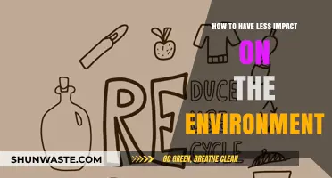 Sustainable Living: Simple Steps to Reduce Your Environmental Footprint