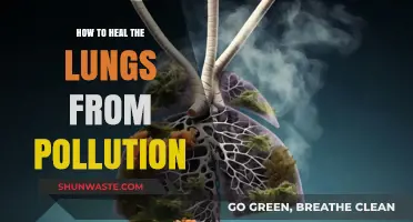 Healing Lungs: Natural Ways to Reverse Pollution Damage