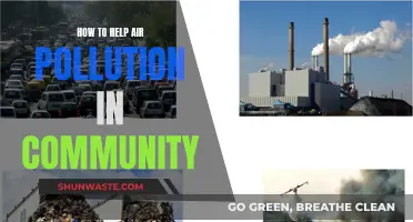 Community Action for Cleaner Air