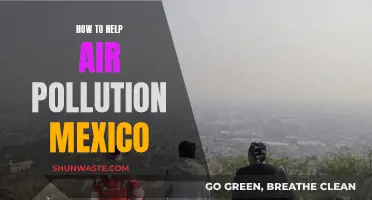 Mexico's Air Pollution: Strategies for a Cleaner Future