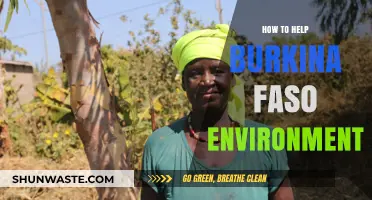 Sustainable Solutions: Empowering Burkina Faso's Environmental Conservation Efforts