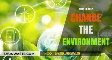 Sustainable Steps: Empowering Actions to Transform Our Environment Effectively