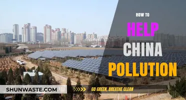 Solutions to China's Pollution Crisis