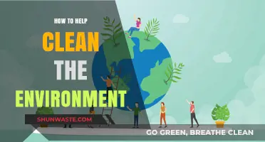Sustainable Steps: Practical Ways to Clean and Protect Our Environment