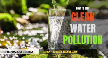 Clean Water, Healthy Planet: Simple Steps to Fight Pollution