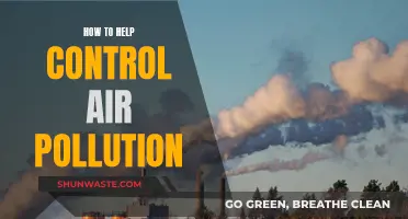 Controlling Air Pollution: Tips for a Cleaner Environment