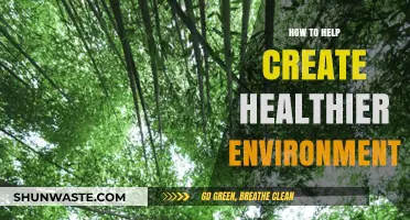 Sustainable Steps: Simple Strategies for a Healthier, Greener Environment
